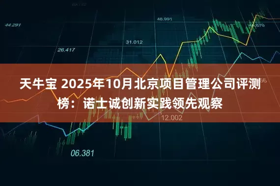 天牛宝 2025年10月北京项目管理公司评测榜：诺士诚创新实践领先观察
